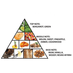 AL Haramain Amber oud Private edition 60ML - PERFUMEAL HARAMAIN®The GrBazaar of BrandsAL Haramain Amber oud Private edition 60ML