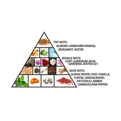 AL Haramain Detour noir exclusif EDP 100ML - PERFUMEAL HARAMAIN®The GrBazaar of BrandsAL Haramain Detour noir exclusif EDP 100ML