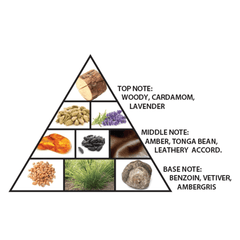 AL Haramain Amber oud Black edition 100ML - PERFUMEAL HARAMAIN®The GrBazaar of BrandsAL Haramain Amber oud Black edition 100ML