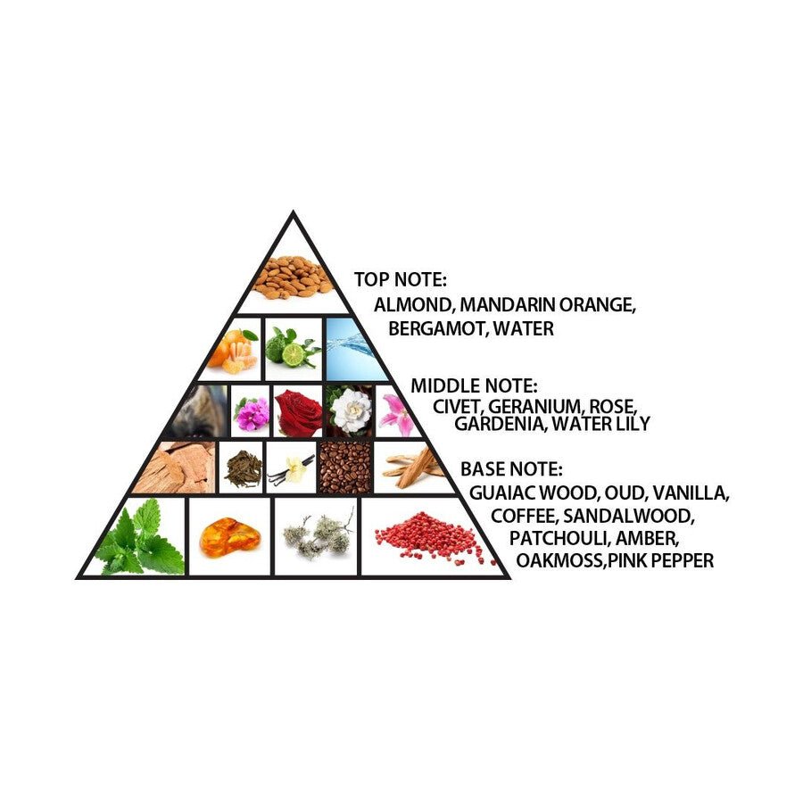 AL Haramain Detour noir exclusif EDP 100ML - PERFUMEAL HARAMAIN®The GrBazaar of BrandsAL Haramain Detour noir exclusif EDP 100ML