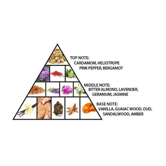 AL Haramain Detour noir intense EDP 100ML - PERFUMEAL HARAMAIN®The GrBazaar of BrandsAL Haramain Detour noir intense EDP 100ML